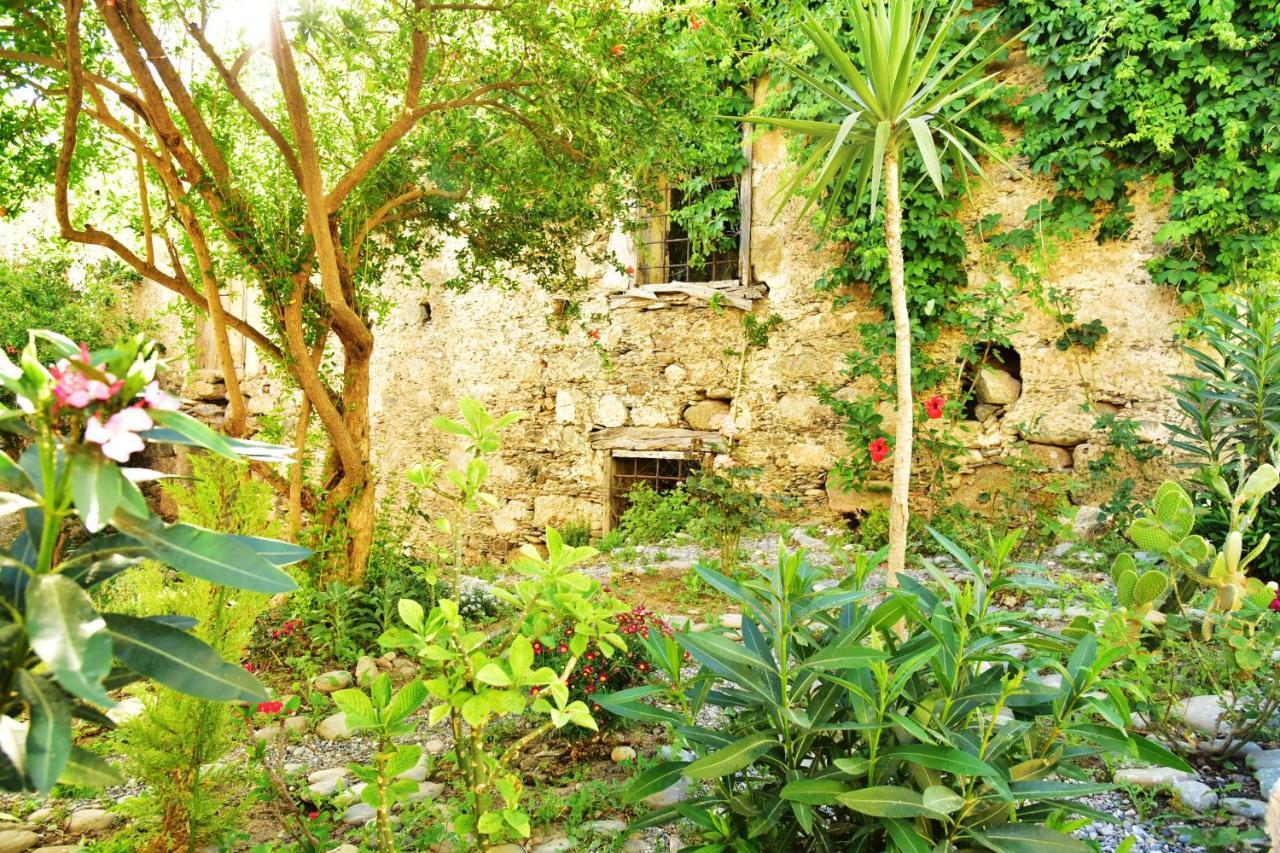 Pension Irene Sougia Exterior foto