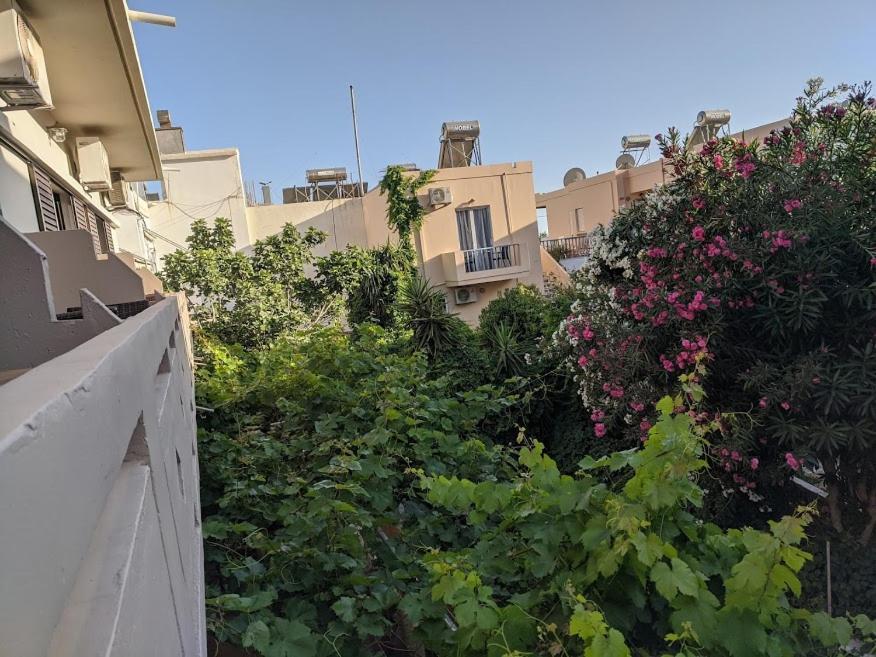 Pension Irene Sougia Exterior foto